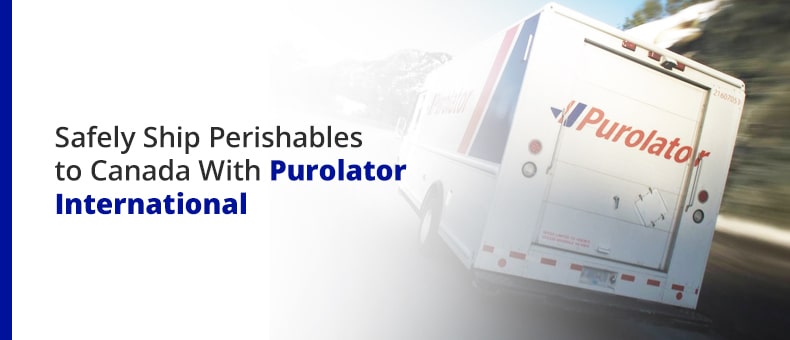 Safely Ship Perishables to Canada With Purolator International